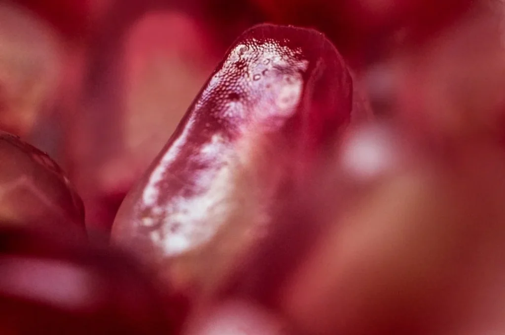 Ilustrasi potongan buah naga merah segar yang kaya akan kandungan nutrisi buah naga untuk kecantikan