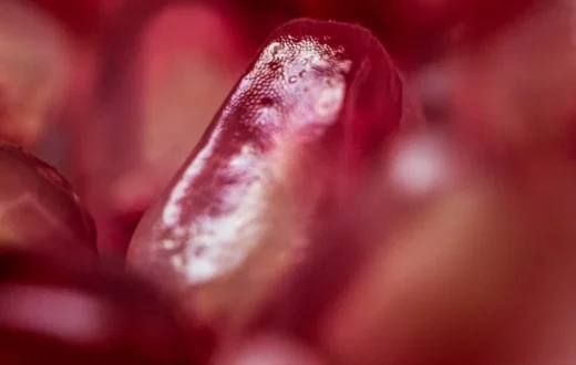 Ilustrasi potongan buah naga merah segar yang kaya akan kandungan nutrisi buah naga untuk kecantikan