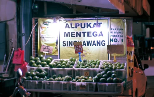 Ilustrasi potongan buah segar dan manfaat semangka untuk menghidrasi tubuh saat musim kemarau