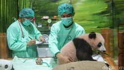 Wisatawan menikmati suasana di salah satu destinasi wisata akhir pekan populer di Jakarta