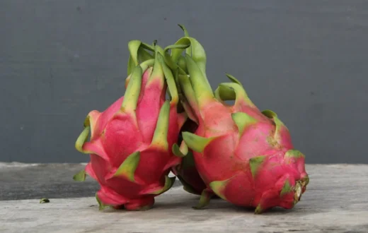 Ilustrasi kandungan nutrisi buah naga yang bermanfaat untuk kesehatan kulit wajah