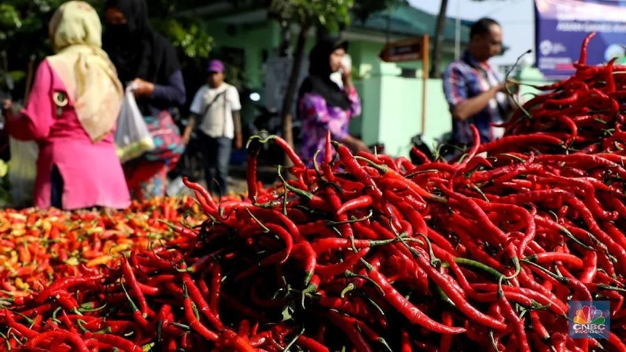 Ilustrasi cabai merah yang memberikan manfaat makanan pedas bagi kesehatan