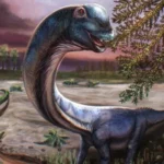 Ilustrasi fosil Nagatitan chaiyaphumensis dinosaurus terbesar di Asia Tenggara