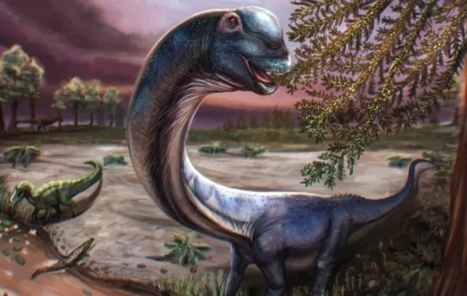 Ilustrasi fosil Nagatitan chaiyaphumensis dinosaurus terbesar di Asia Tenggara