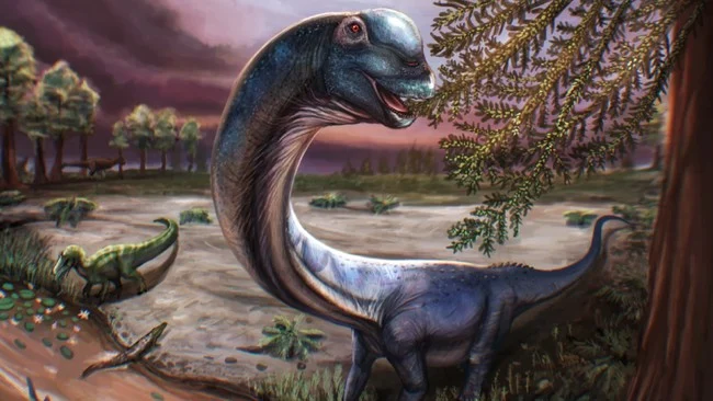 Ilustrasi fosil Nagatitan chaiyaphumensis dinosaurus terbesar di Asia Tenggara