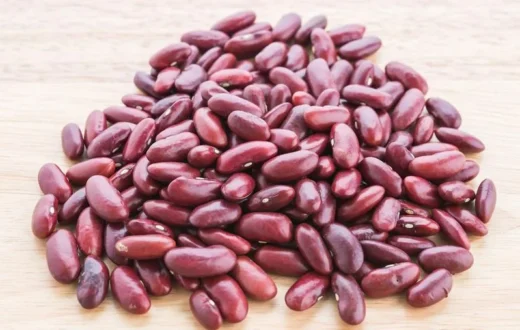Ilustrasi biji kacang merah yang kaya akan manfaat kacang merah bagi tubuh
