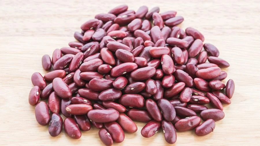 Ilustrasi biji kacang merah yang kaya akan manfaat kacang merah bagi tubuh